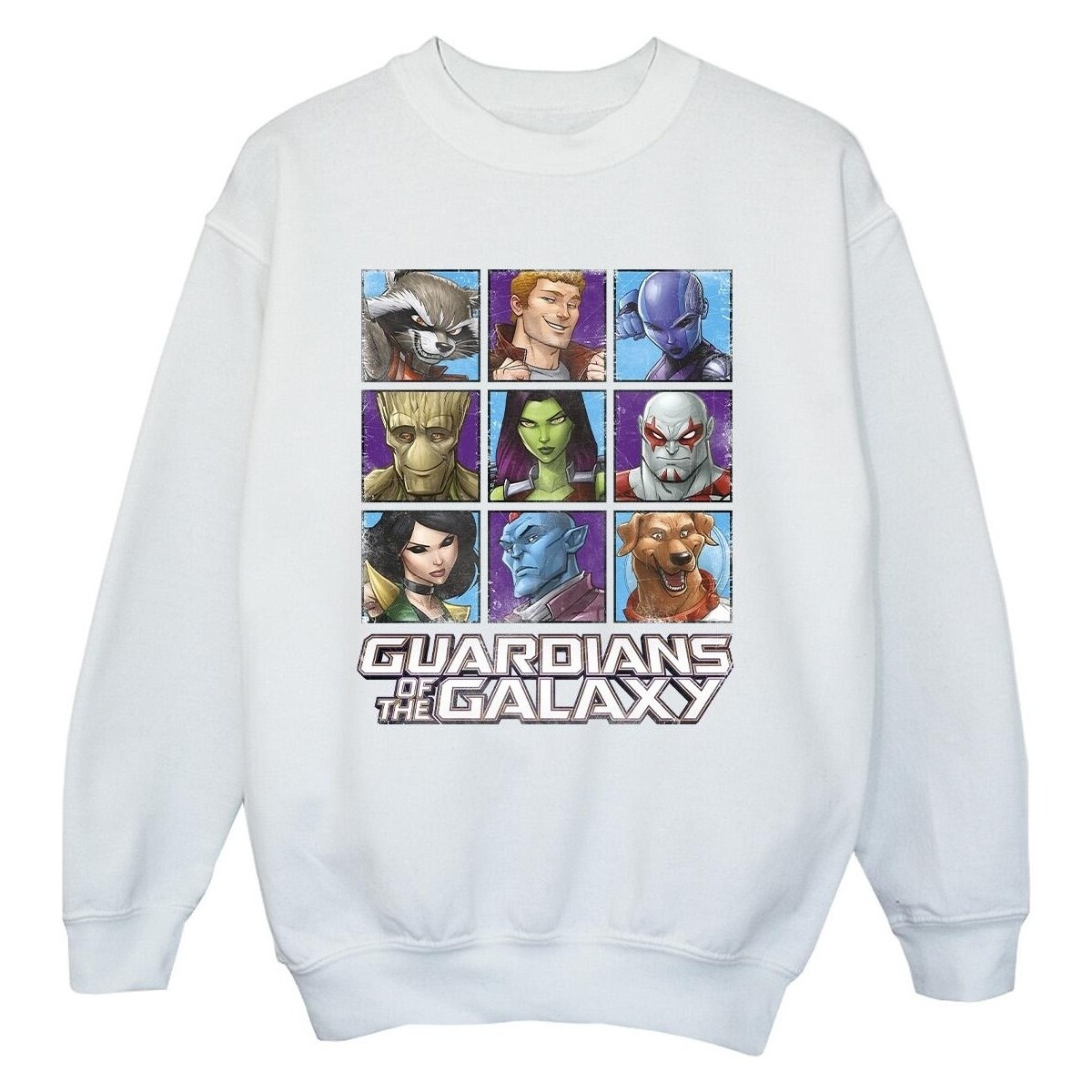 Vêtements Garçon Sweats Guardians Of The Galaxy Character Squares Blanc