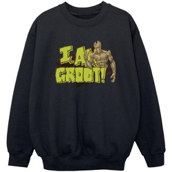 Vêtements Garçon Sweats Guardians Of The Galaxy I Am Groot Noir