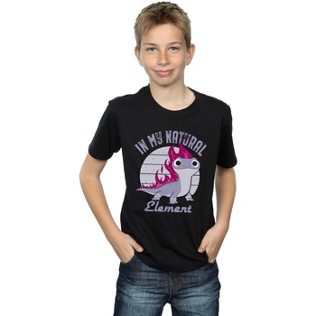 Vêtements Garçon T-shirts manches courtes Disney Frozen 2 Salamander Bruni Element Noir
