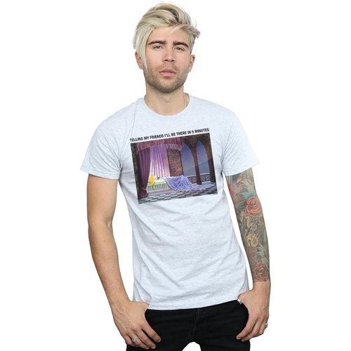 Vêtements Homme T-shirts manches longues Disney Sleeping Beauty I'll Be There In 5 Gris