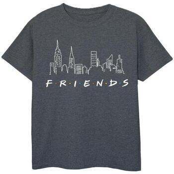 Vêtements Fille T-shirts manches longues Friends  Gris