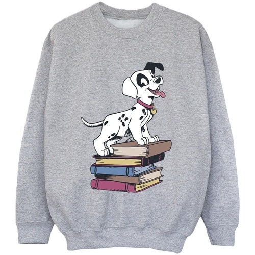 Vêtements Garçon Sweats Disney 101 Dalmatians Books Gris
