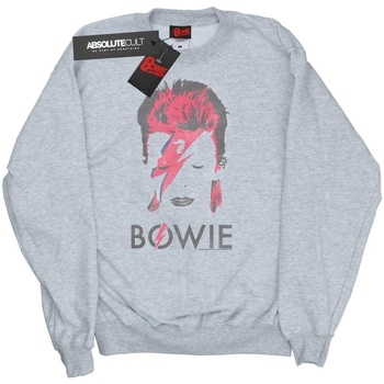 Vêtements Homme Sweats David Bowie Housses de couettes Gris