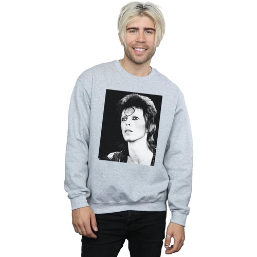 Vêtements Homme Sweats David Bowie Ziggy Looking Gris