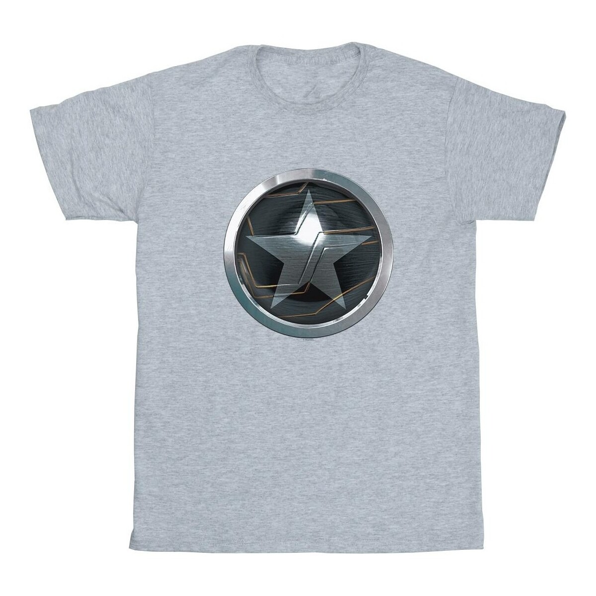 Vêtements Garçon T-shirts manches courtes Marvel The Falcon And The Winter Soldier Chest Star Gris