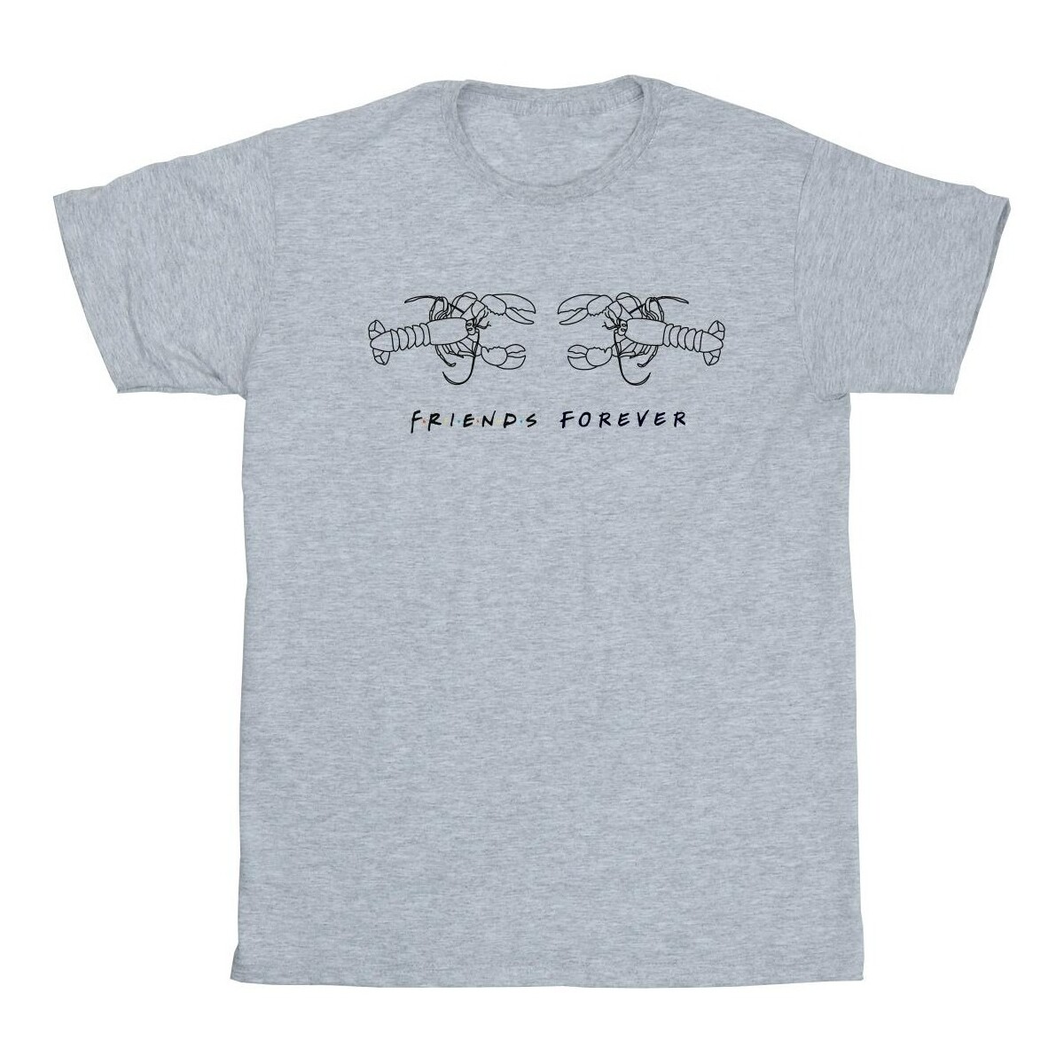 Vêtements Fille T-shirts manches longues Friends Lobster Logo Gris