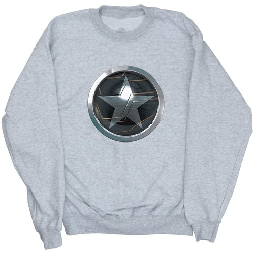 Vêtements Femme Sweats Marvel The Falcon And The Winter Soldier Chest Star Gris