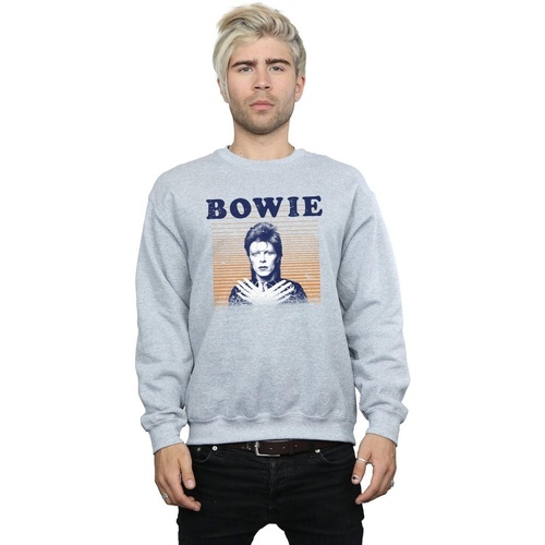 Vêtements Homme Sweats David Bowie Orange Stripes Gris