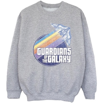 Vêtements Fille Sweats Guardians Of The Galaxy Badge Rocket Gris