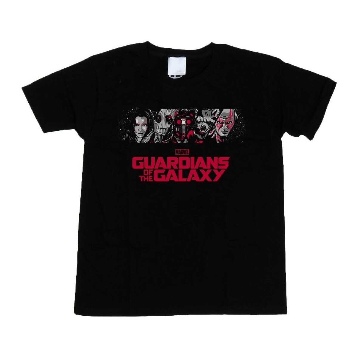 Vêtements Garçon T-shirts manches courtes Marvel Guardians Of The Galaxy Team Logo Noir