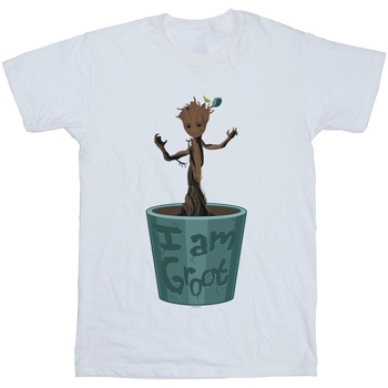 Marvel Guardians Of The Galaxy Groot Flower Pot Blanc