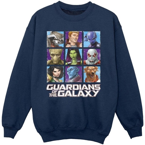 Vêtements Fille Sweats Guardians Of The Galaxy Character Squares Bleu