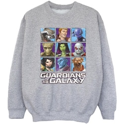 Vêtements Fille Sweats Guardians Of The Galaxy Character Squares Gris