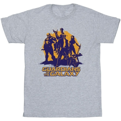 Vêtements Garçon T-shirts manches courtes Guardians Of The Galaxy Sunset Guardians Gris
