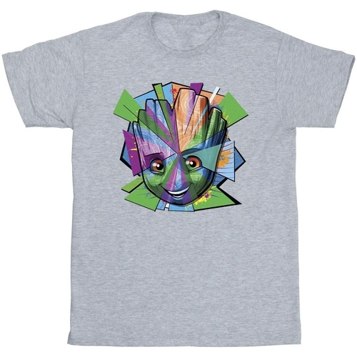 Vêtements Garçon T-shirts manches courtes Marvel Guardians Of The Galaxy Groot Shattered Gris