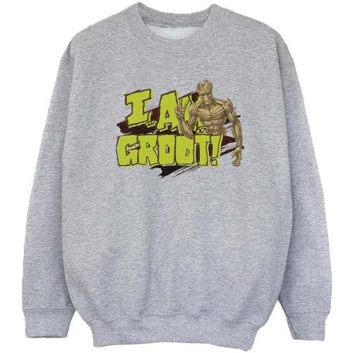 Vêtements Fille Sweats Guardians Of The Galaxy I Am Groot Gris