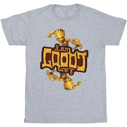 Vêtements Garçon T-shirts manches courtes Marvel Guardians Of The Galaxy Groot Inverted Grain Gris