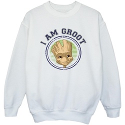 Vêtements Fille Sweats Guardians Of The Galaxy Groot Varsity Blanc