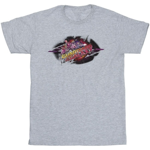 Vêtements Garçon T-shirts manches courtes Marvel Guardians Of The Galaxy Group Pose Gris