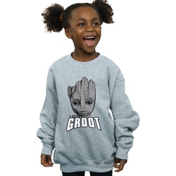 Vêtements Fille Sweats Marvel Guardians Of The Galaxy Groot Face Gris