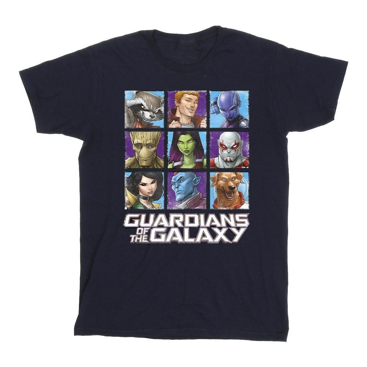 Vêtements Garçon T-shirts manches courtes Guardians Of The Galaxy Character Squares Bleu