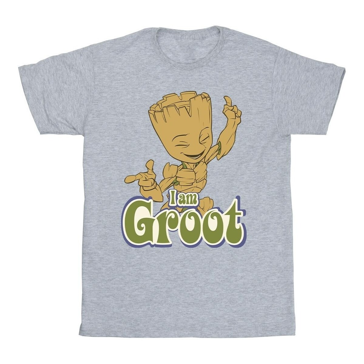 Vêtements Garçon T-shirts manches courtes Guardians Of The Galaxy Groot Dancing Gris