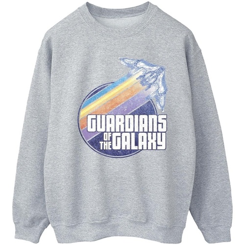 Vêtements Femme Sweats Guardians Of The Galaxy Badge Rocket Gris