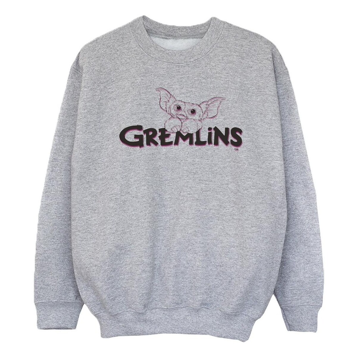 Vêtements Fille Sweats Gremlins Logo Line Gris