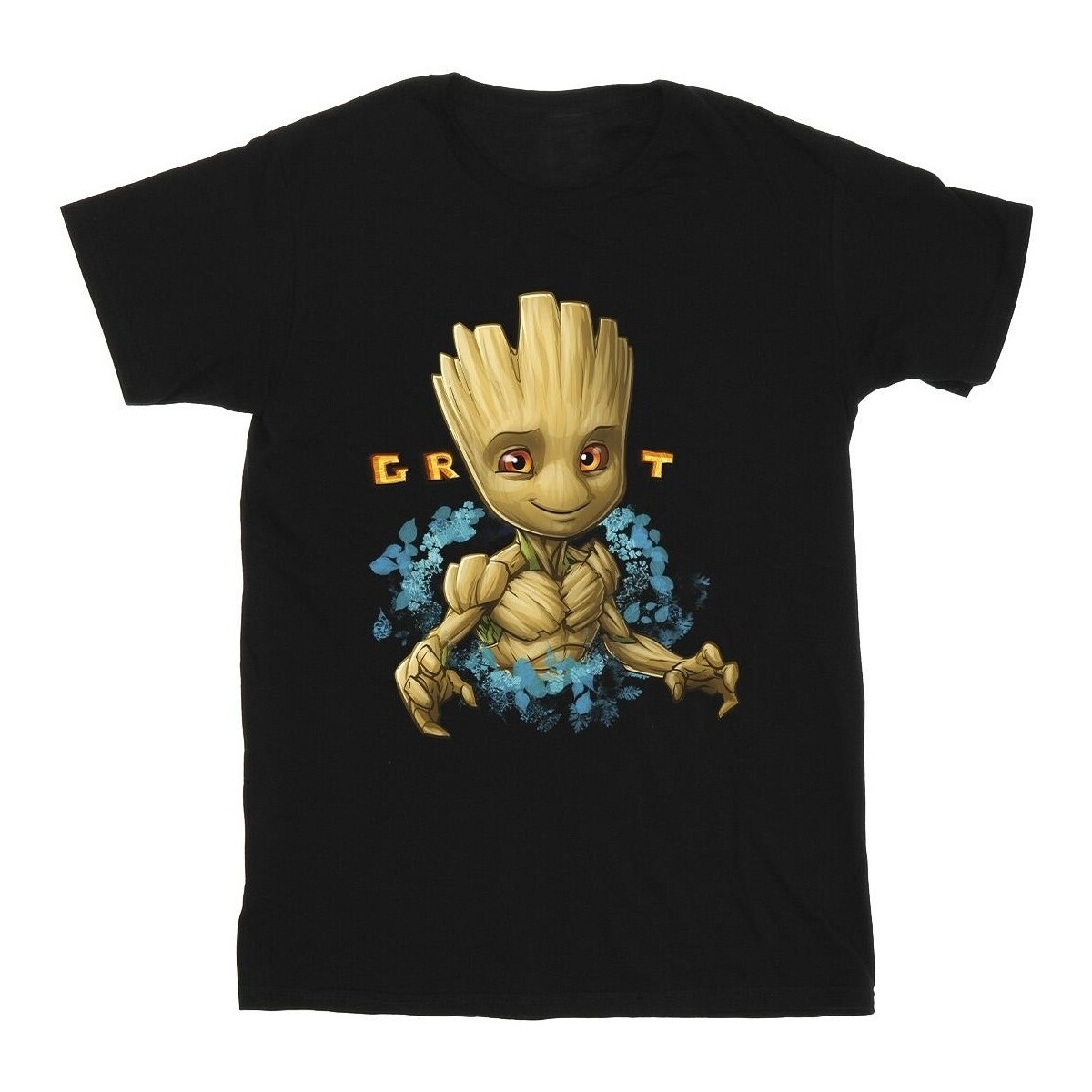 Vêtements Garçon T-shirts manches courtes Guardians Of The Galaxy Groot Flowers Noir