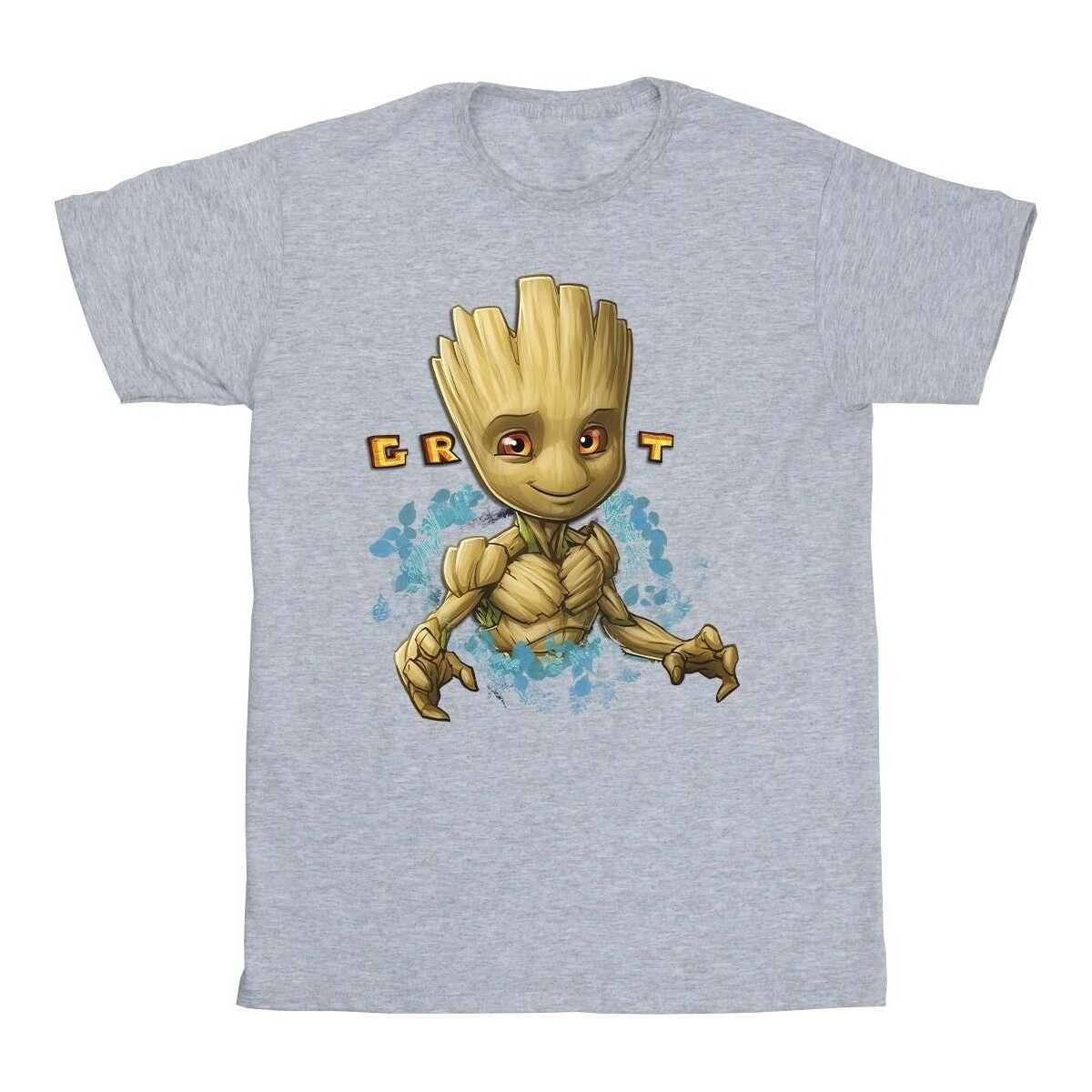Vêtements Garçon T-shirts manches courtes Guardians Of The Galaxy Groot Flowers Gris