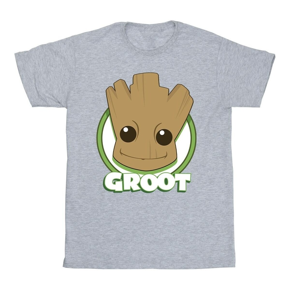 Vêtements Garçon T-shirts manches courtes Guardians Of The Galaxy Groot Badge Gris