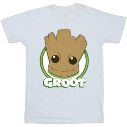 Vêtements Garçon T-shirts manches courtes Guardians Of The Galaxy Groot Badge Blanc