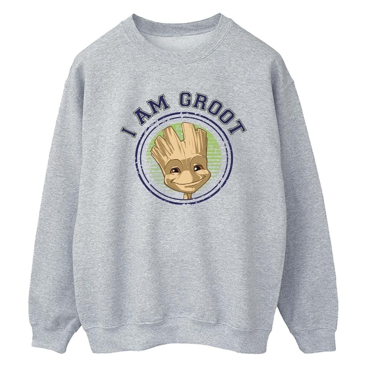 Vêtements Femme Sweats Guardians Of The Galaxy Groot Varsity Gris