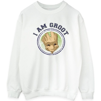 Vêtements Femme Sweats Guardians Of The Galaxy Groot Varsity Blanc