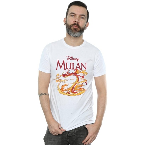 Vêtements Homme T-shirts manches longues Disney Mulan Mushu Dragon Fire Blanc