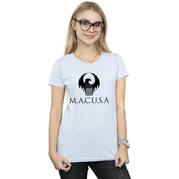 Vêtements Femme T-shirts manches longues Fantastic Beasts MACUSA Logo Gris