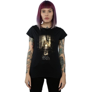 Vêtements Femme T-shirts manches longues Fantastic Beasts Movie Poster Noir