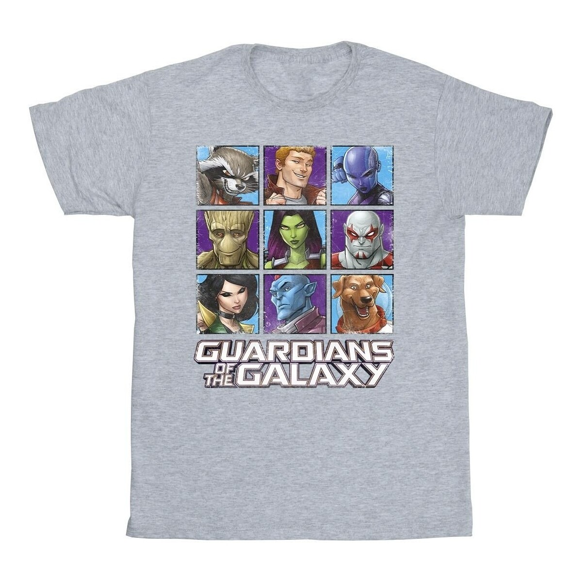 Vêtements Fille T-shirts manches longues Guardians Of The Galaxy Character Squares Gris