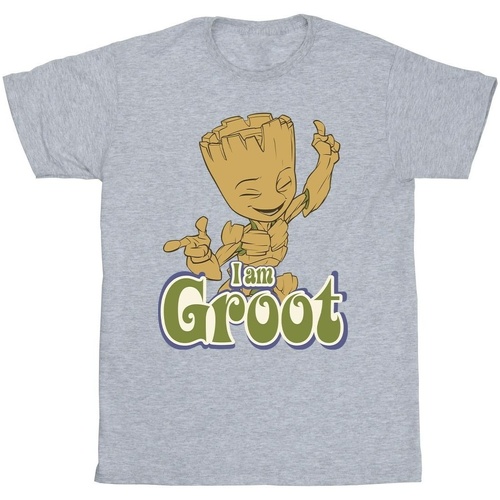 Vêtements Fille T-shirts manches longues Guardians Of The Galaxy Groot Dancing Gris