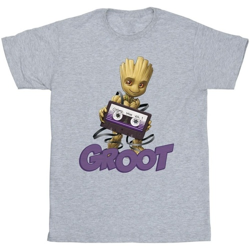 Vêtements Fille T-shirts manches longues Guardians Of The Galaxy Groot Casette Gris