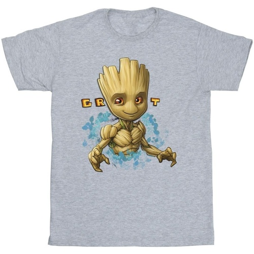 Vêtements Fille T-shirts manches longues Guardians Of The Galaxy Groot Flowers Gris