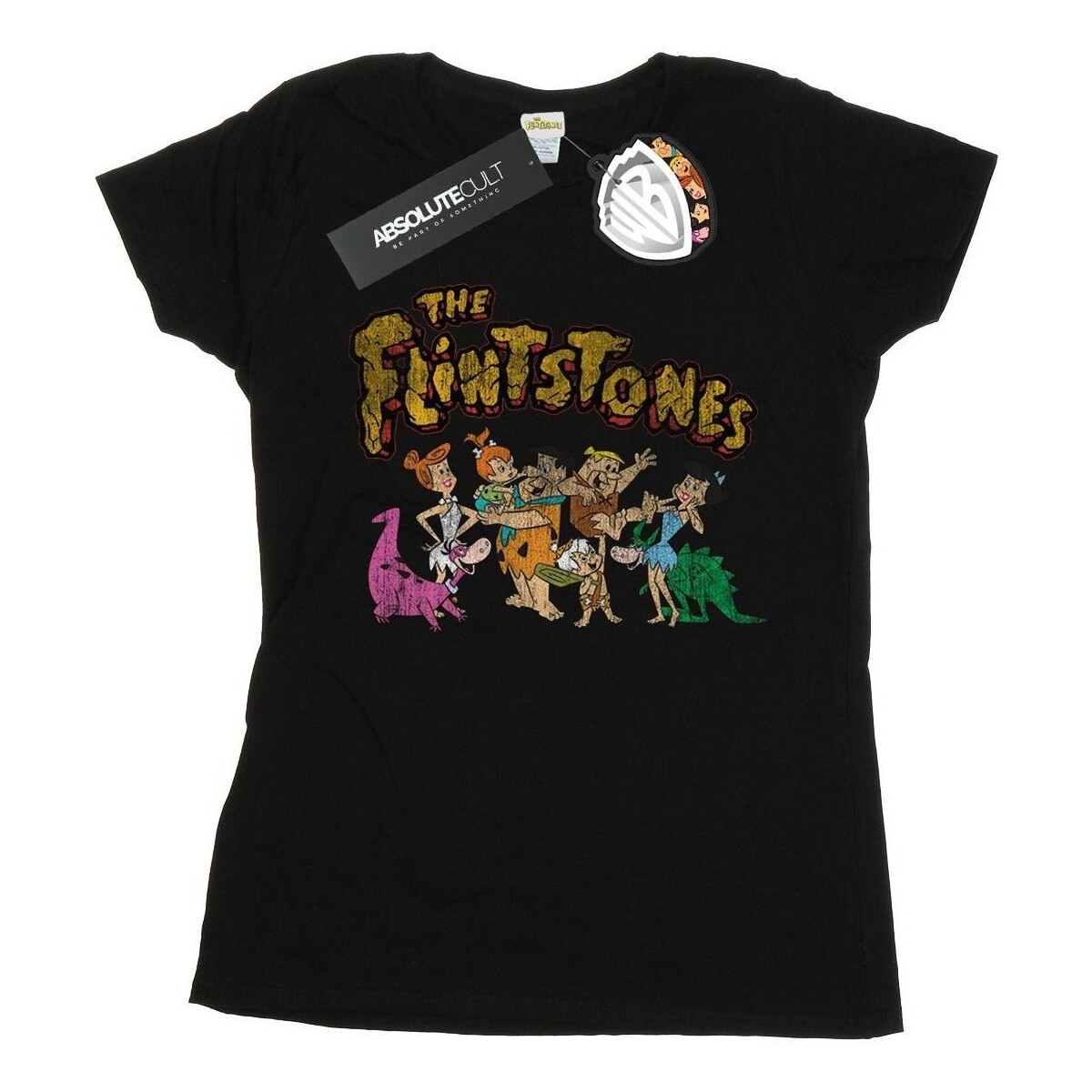 Vêtements Femme T-shirts manches longues The Flintstones Group Distressed Noir