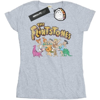 Vêtements Femme T-shirts manches longues The Flintstones Group Distressed Gris