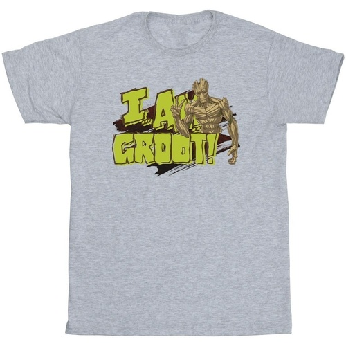 Vêtements Fille T-shirts manches longues Guardians Of The Galaxy I Am Groot Gris