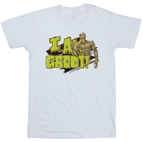 Vêtements Fille T-shirts manches longues Guardians Of The Galaxy I Am Groot Blanc