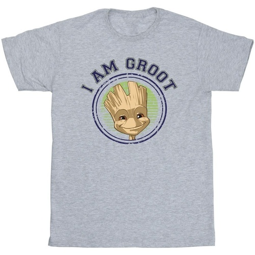 Vêtements Fille T-shirts manches longues Guardians Of The Galaxy Groot Varsity Gris