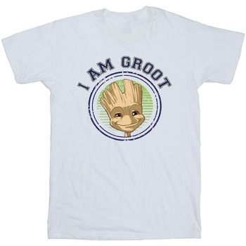 Vêtements Fille T-shirts manches longues Guardians Of The Galaxy Groot Varsity Blanc