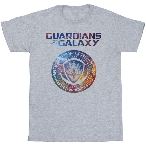 Vêtements Fille T-shirts manches longues Marvel Guardians Of The Galaxy Stars Fill Logo Gris