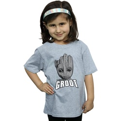 Vêtements Fille T-shirts manches longues Marvel Guardians Of The Galaxy Groot Face Gris