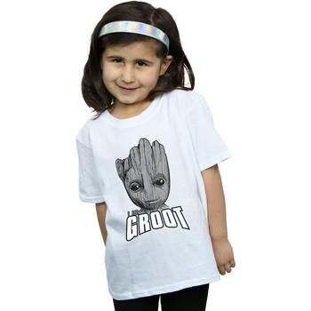 Vêtements Fille T-shirts manches longues Marvel Guardians Of The Galaxy Groot Face Blanc
